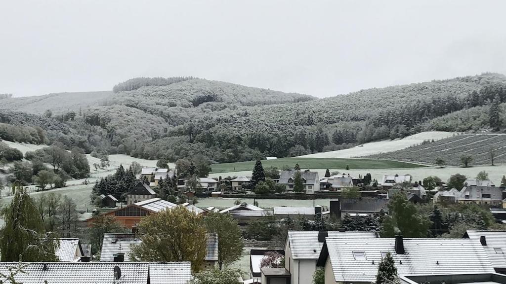 Natur Pur Im Schoenen Sauerland Apartment Allendorf  Bagian luar foto